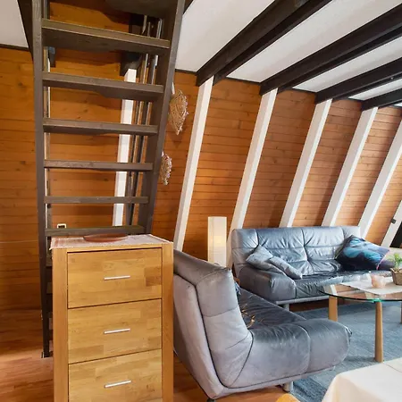 Nurdach-haus Typ 7 Holiday home *