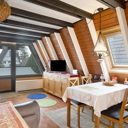 Nurdach-haus Typ 7 *